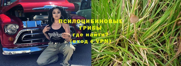 сатива Балабаново