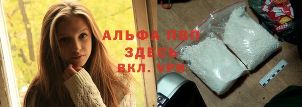 сатива Богданович