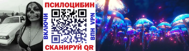 Галлюциногенные грибы Psilocybe  Грязовец 